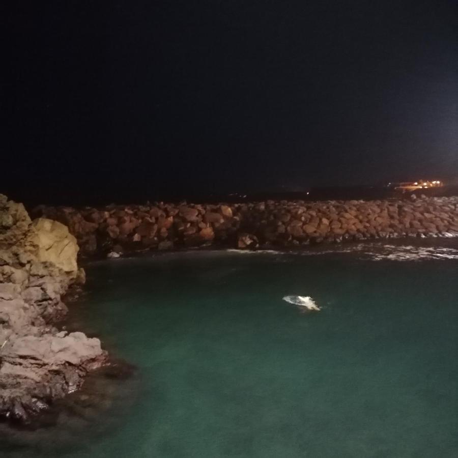 Espaco Roteiro De Mimos São Vicente Ferreira Exteriör bild
