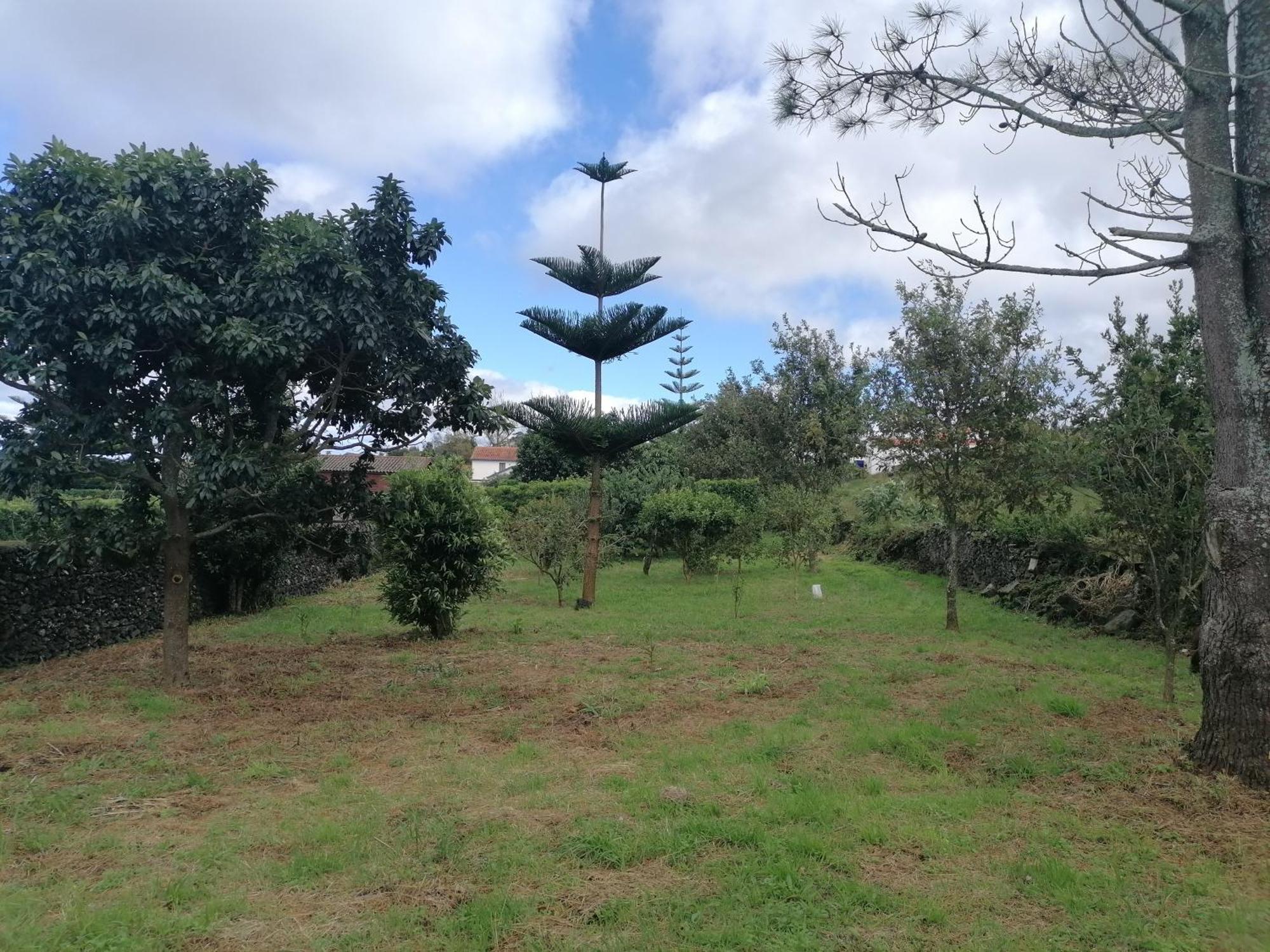 Espaco Roteiro De Mimos São Vicente Ferreira Exteriör bild