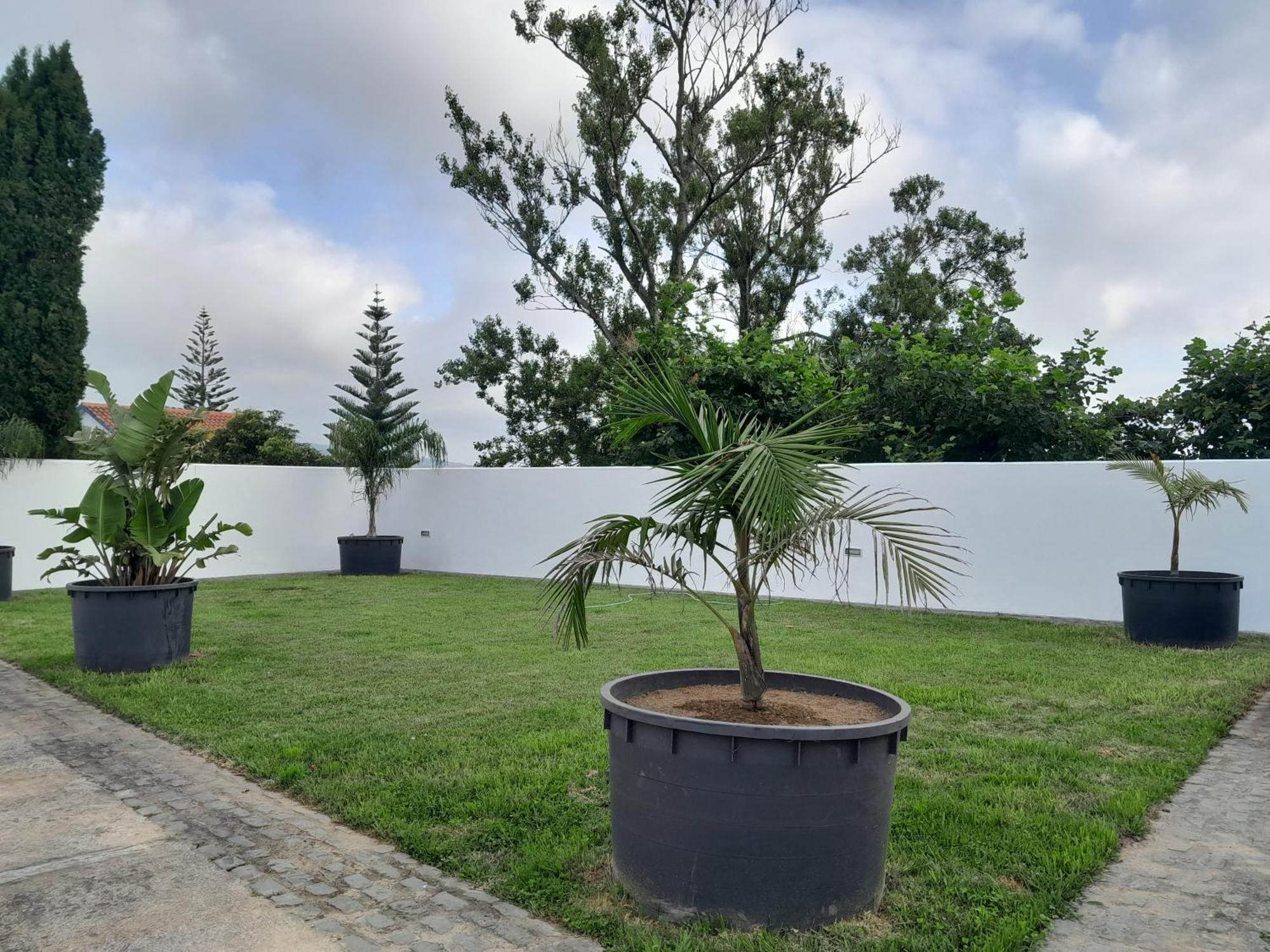 Espaco Roteiro De Mimos São Vicente Ferreira Exteriör bild